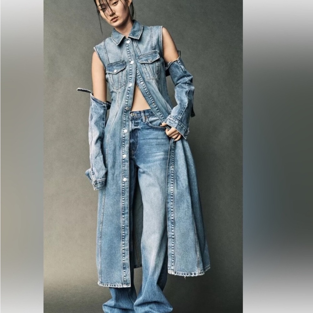 Zara Denim Dress